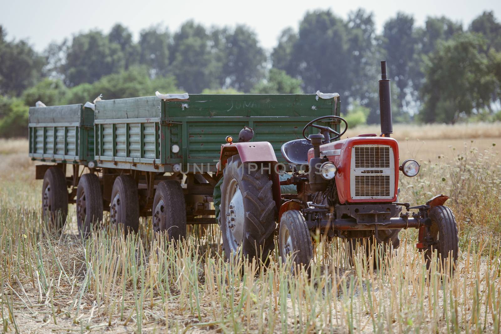 small tractor with trailer full of wheat grain