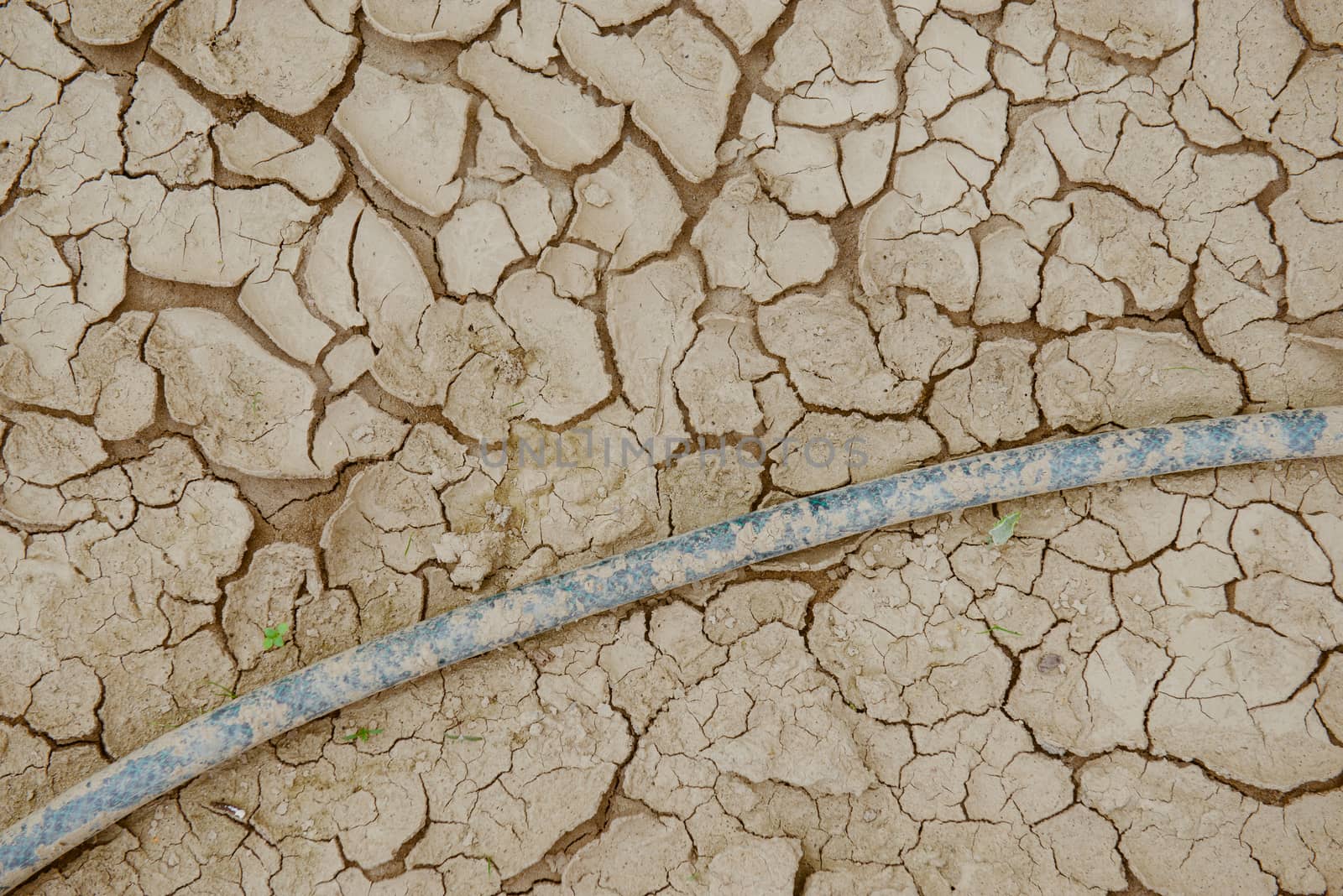 Cracked ground,Dry land. Cracked ground background,Dry cracked ground filling the frame as background