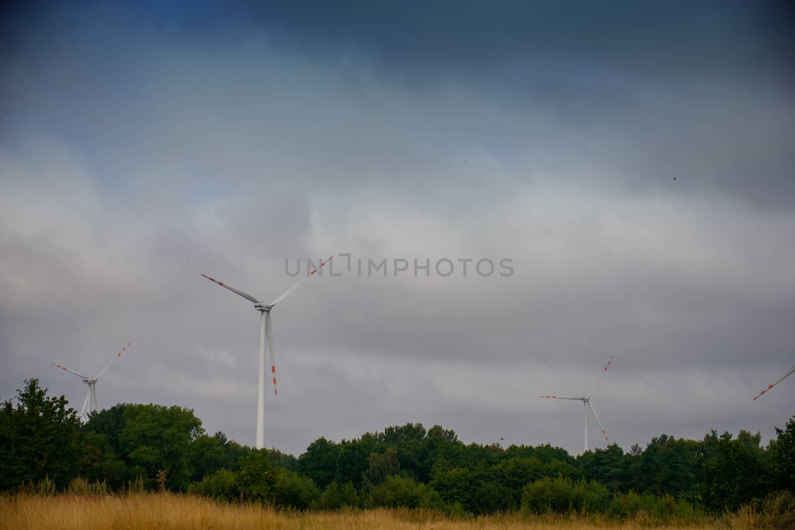 wind trubine at sunny day with blue sky