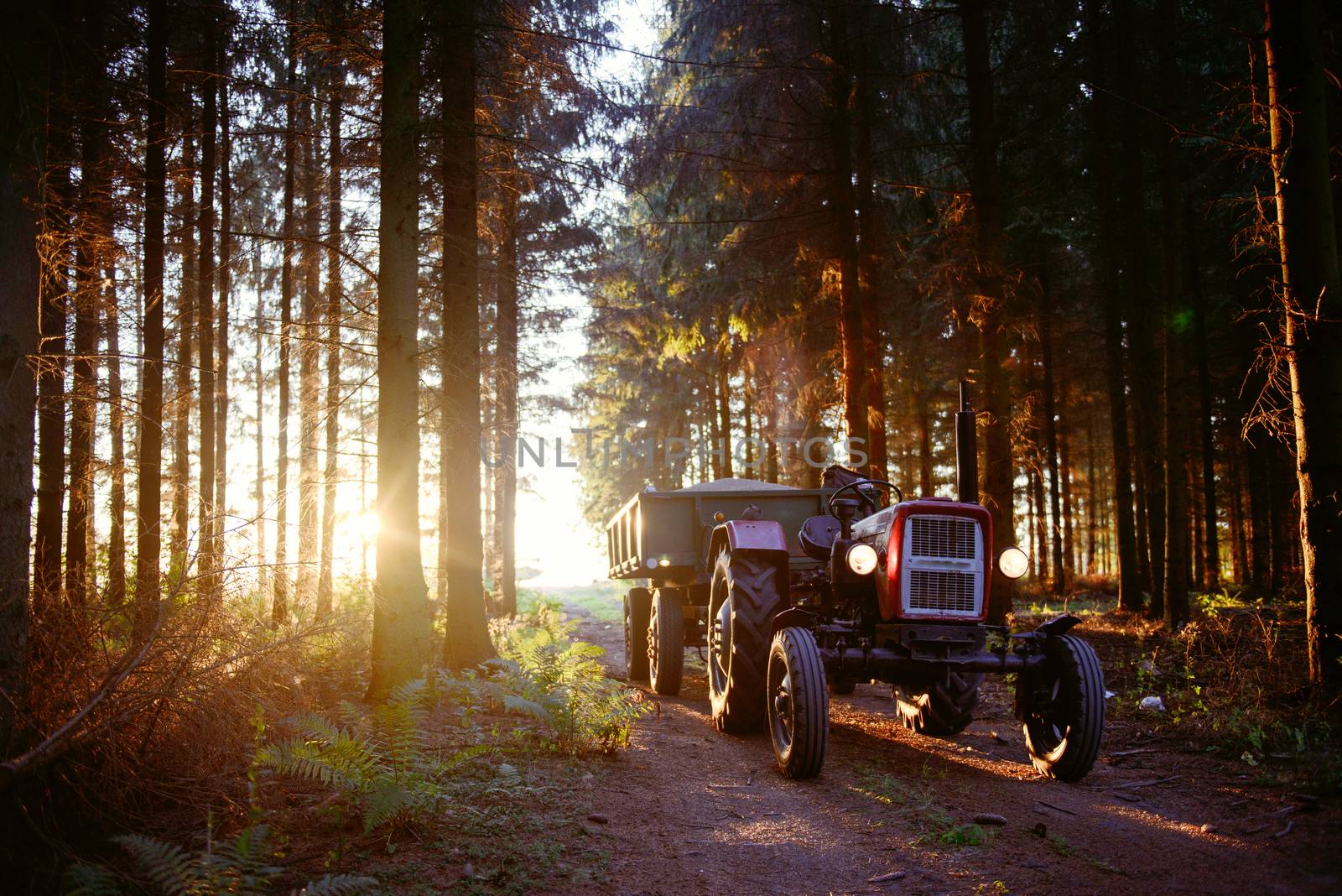 small tractor with trailer full of wheat grain