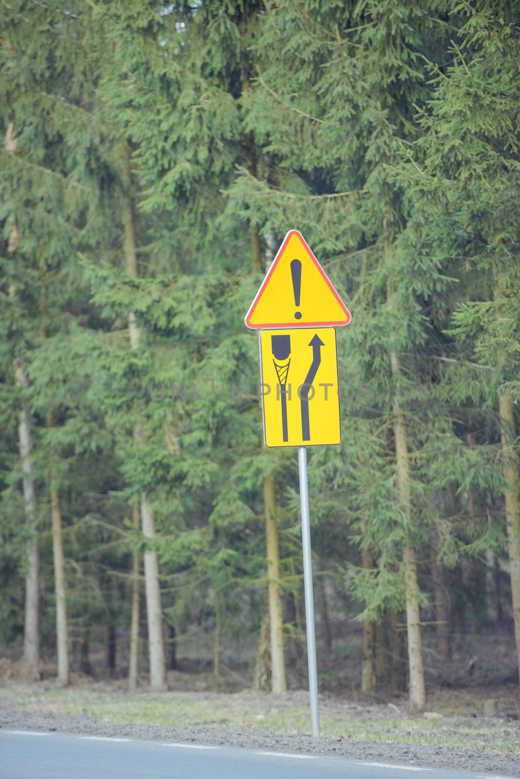 Asphalt road during early spring going through forest