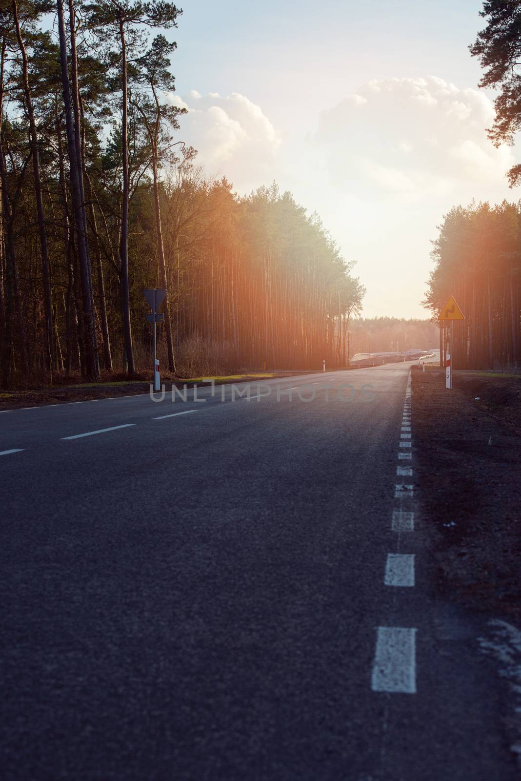 Asphalt road during early spring going through forest