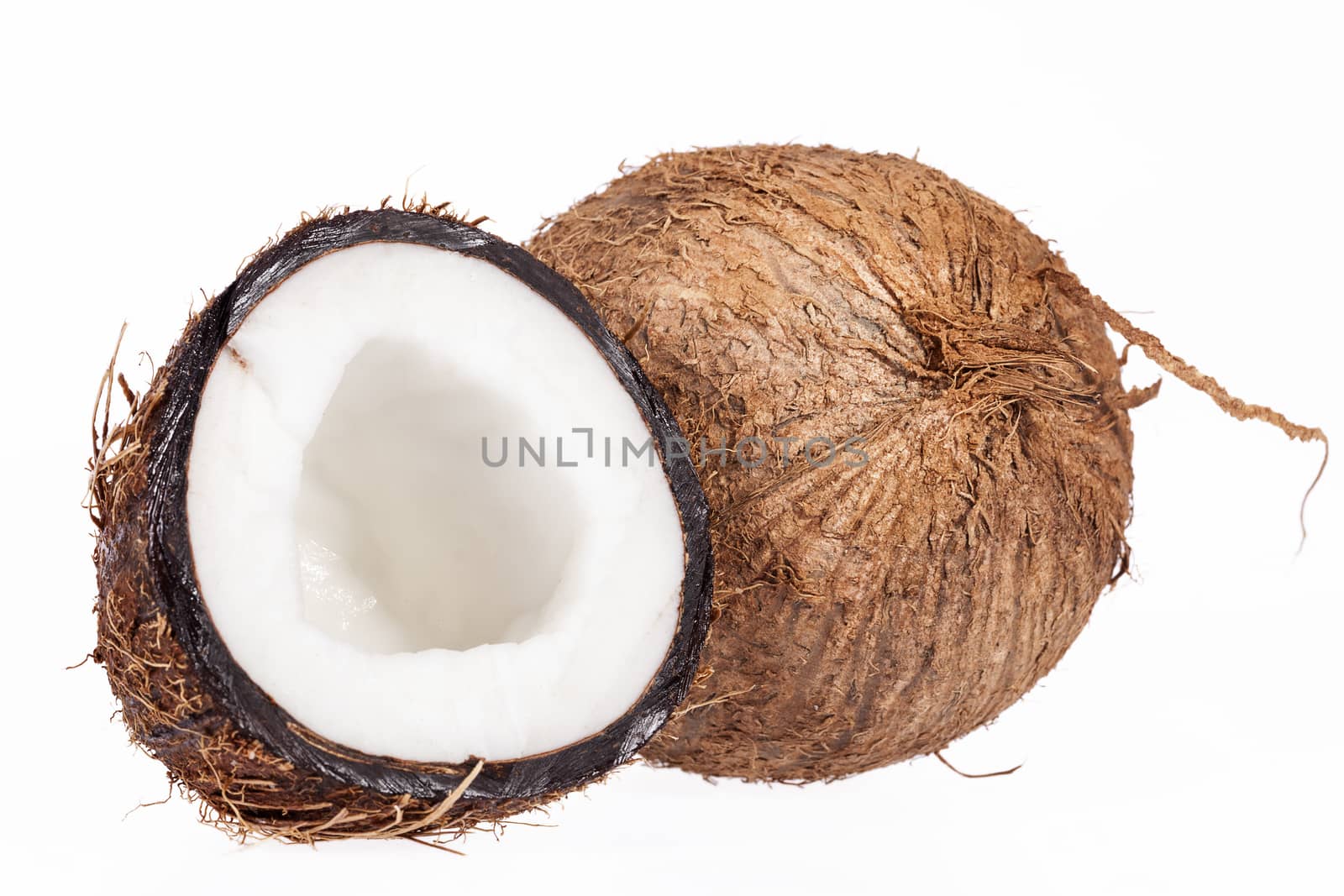 Fruits of coconut isolated on white background, close up by mychadre77