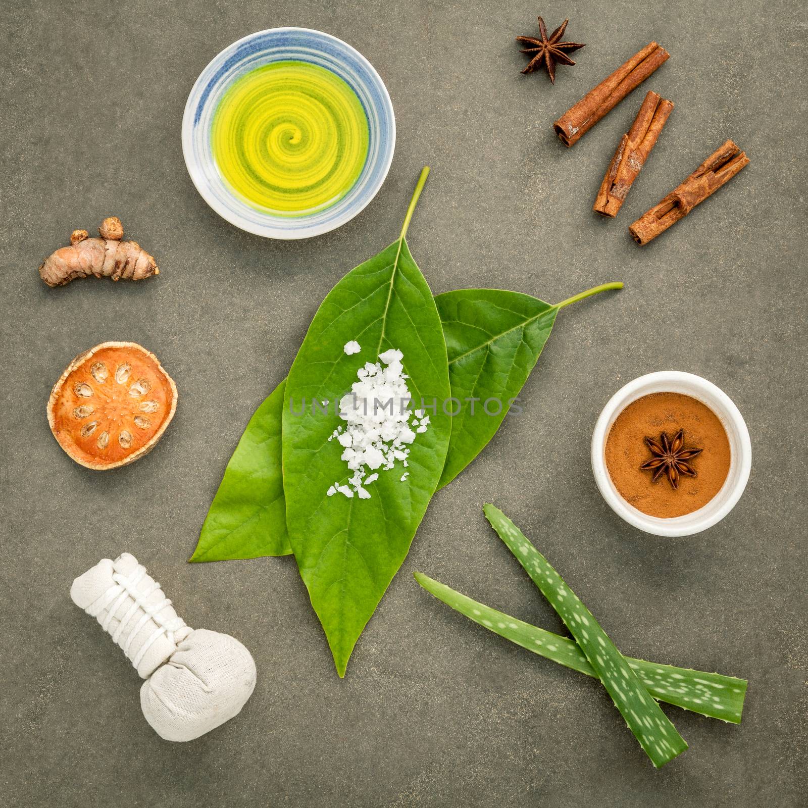 Avocados  leaves with nature spa ingredients turmeric,herbal compress ball,dried indian bael ,cinnamon powder ,cinnamon sticks ,aromatic oil ,star anise,aloe vera  and sea salt on concrete background.