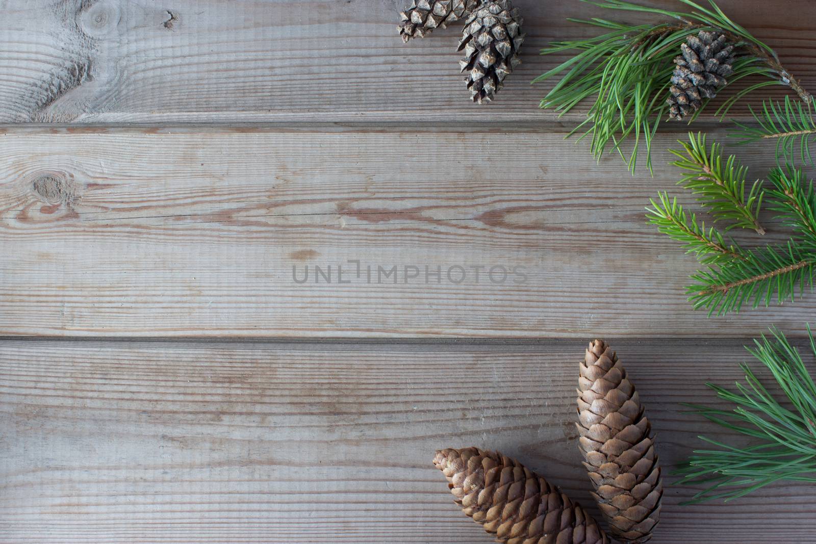 Christmas mock up with cones and Christmastree branches