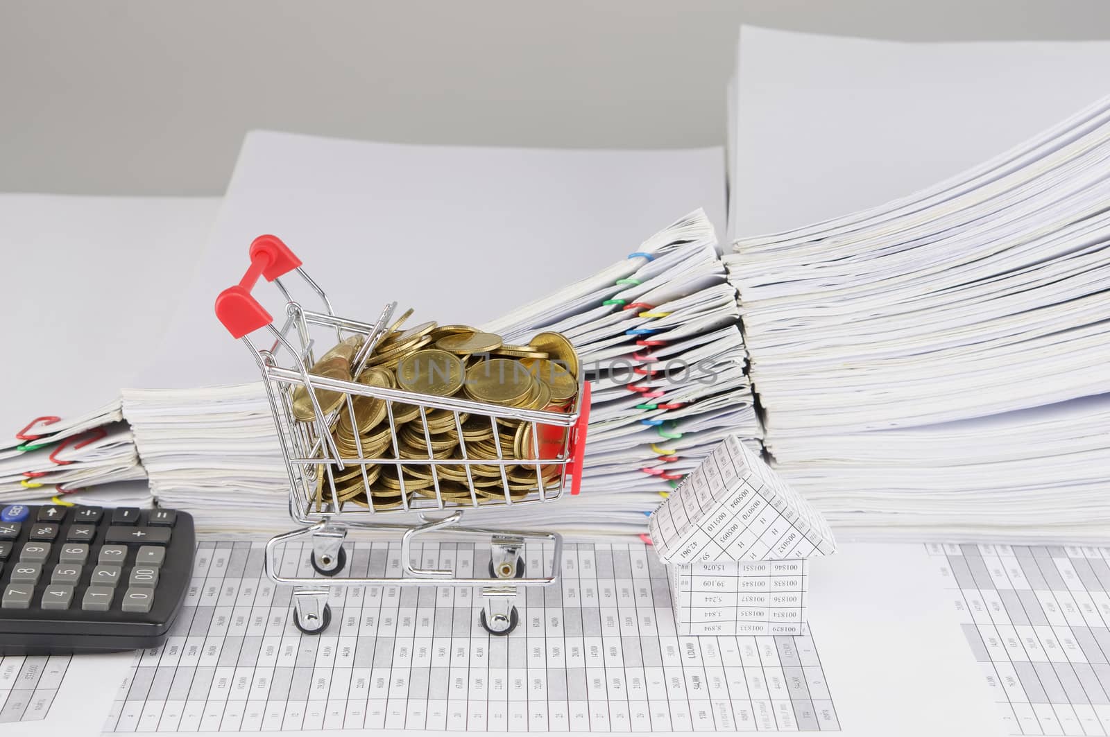 Shopping cart with gold coins and house with calculator by eaglesky