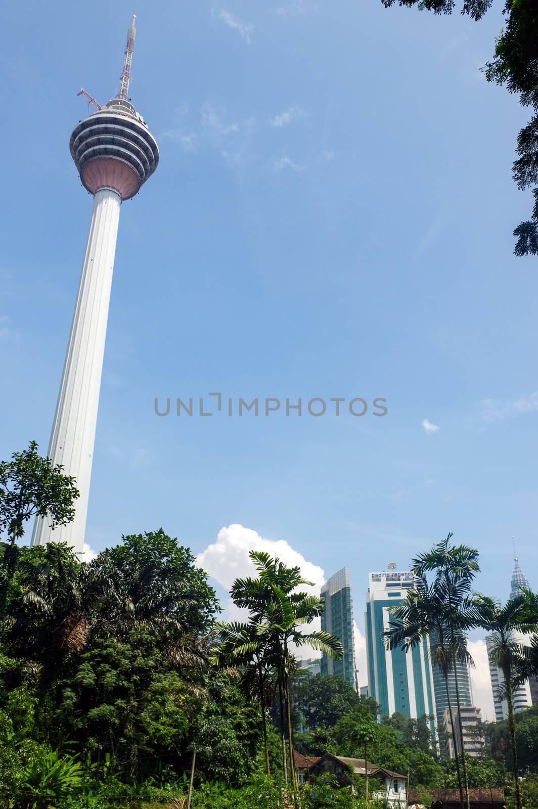 Kuala Lumpur, Malaysia - January 16, 2016: a view of the KL Tower commucation tower between palms and plant