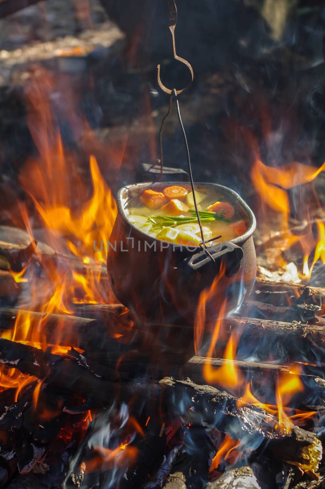 vegetables prepared in a pot over fire on the nature by evolutionnow
