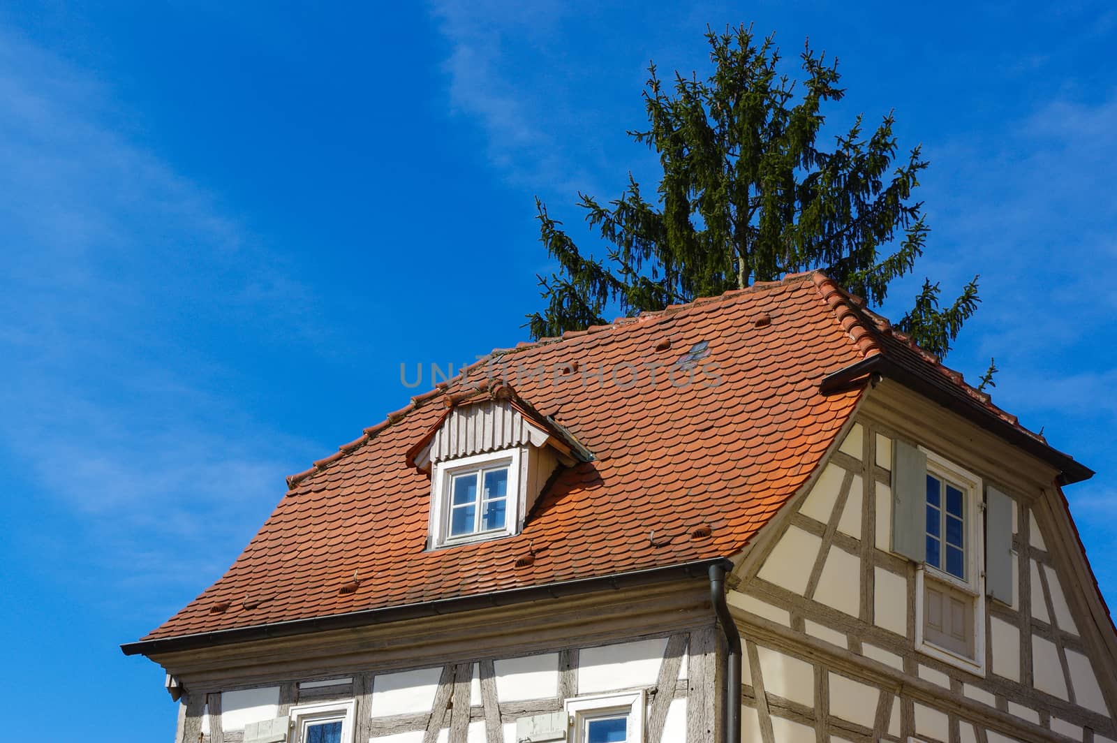 roof of a residential tudor style house with blue sky in background by evolutionnow