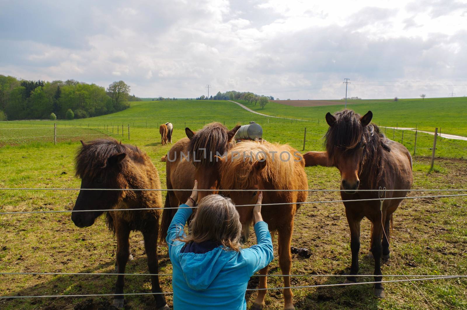 man with long hair speaking horses on meadow by evolutionnow