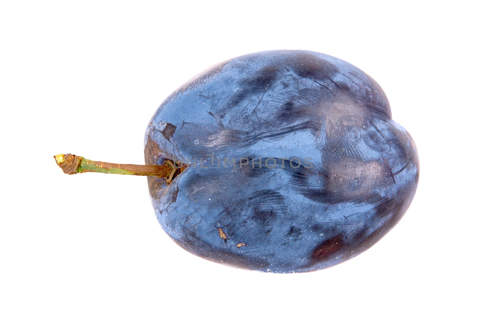 Blue plum isolated on a white background