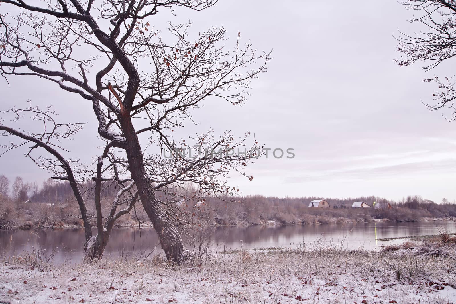 First snow on the riverbank. Belarus autumn morning landscape