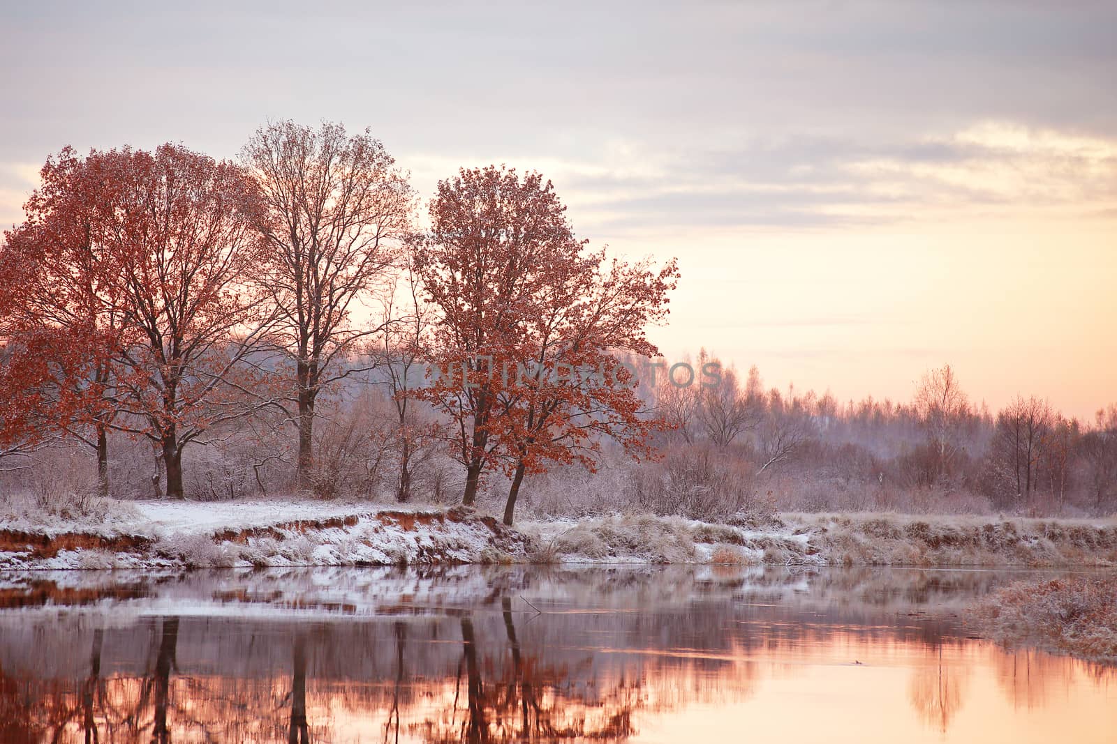 Cloudy autumn dawn. First snow on the autumn river. Oaks on riverbank. Belarus autumn scene