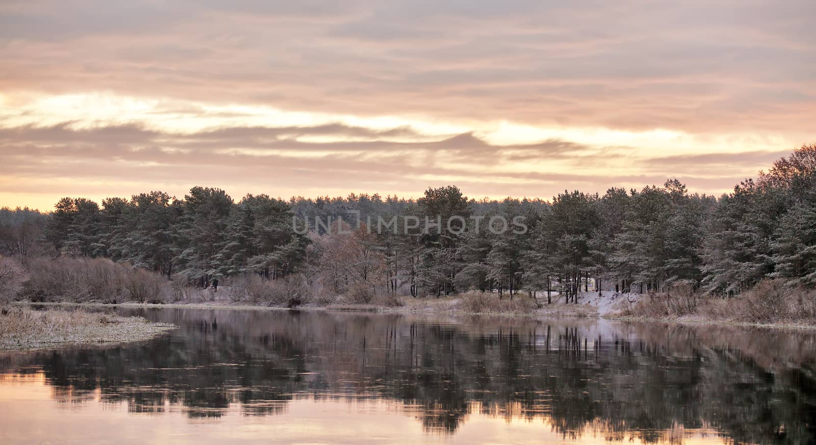 Cloudy autumn dawn. First snow on the autumn river. Fir trees on riverbank. Belarus autumn scene