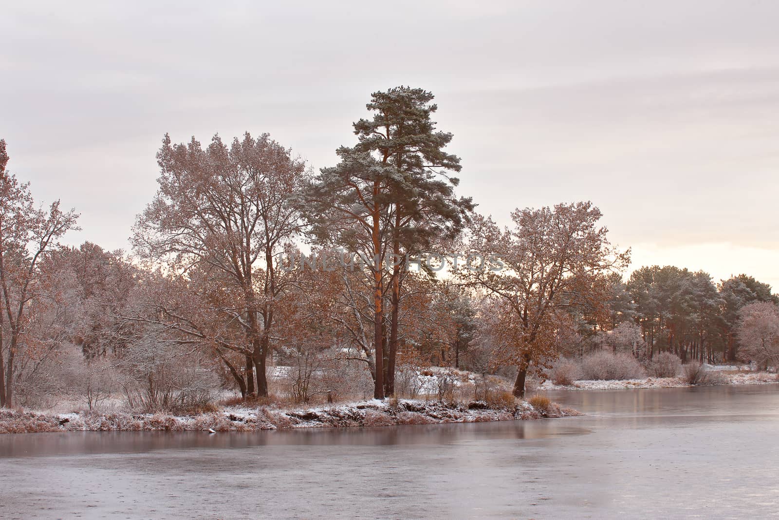 Cold snowy morning on the lake. Late autumn. Trees on lakeside in autumn