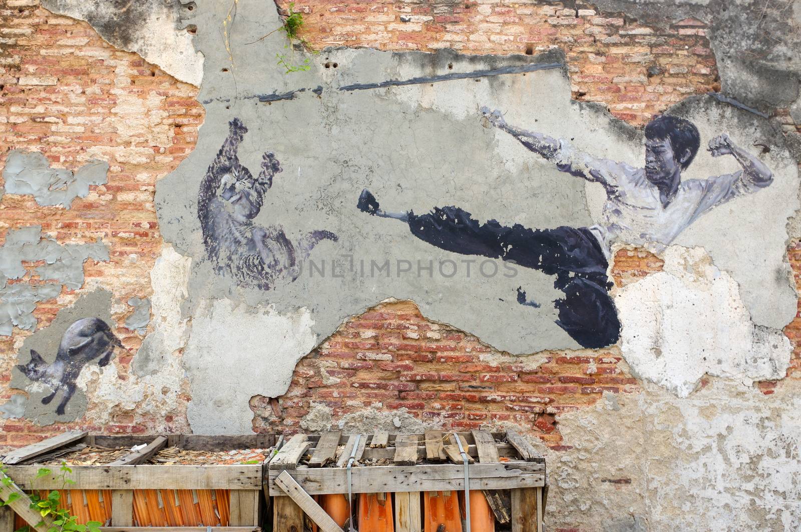 PENANG, MALAYSIA - APRIL 18, 2016: General view of a mural 'The Real Bruce Lee Would Never Do This' painted by 101 Lost Kittens in on JULY 6,2013. by evolutionnow