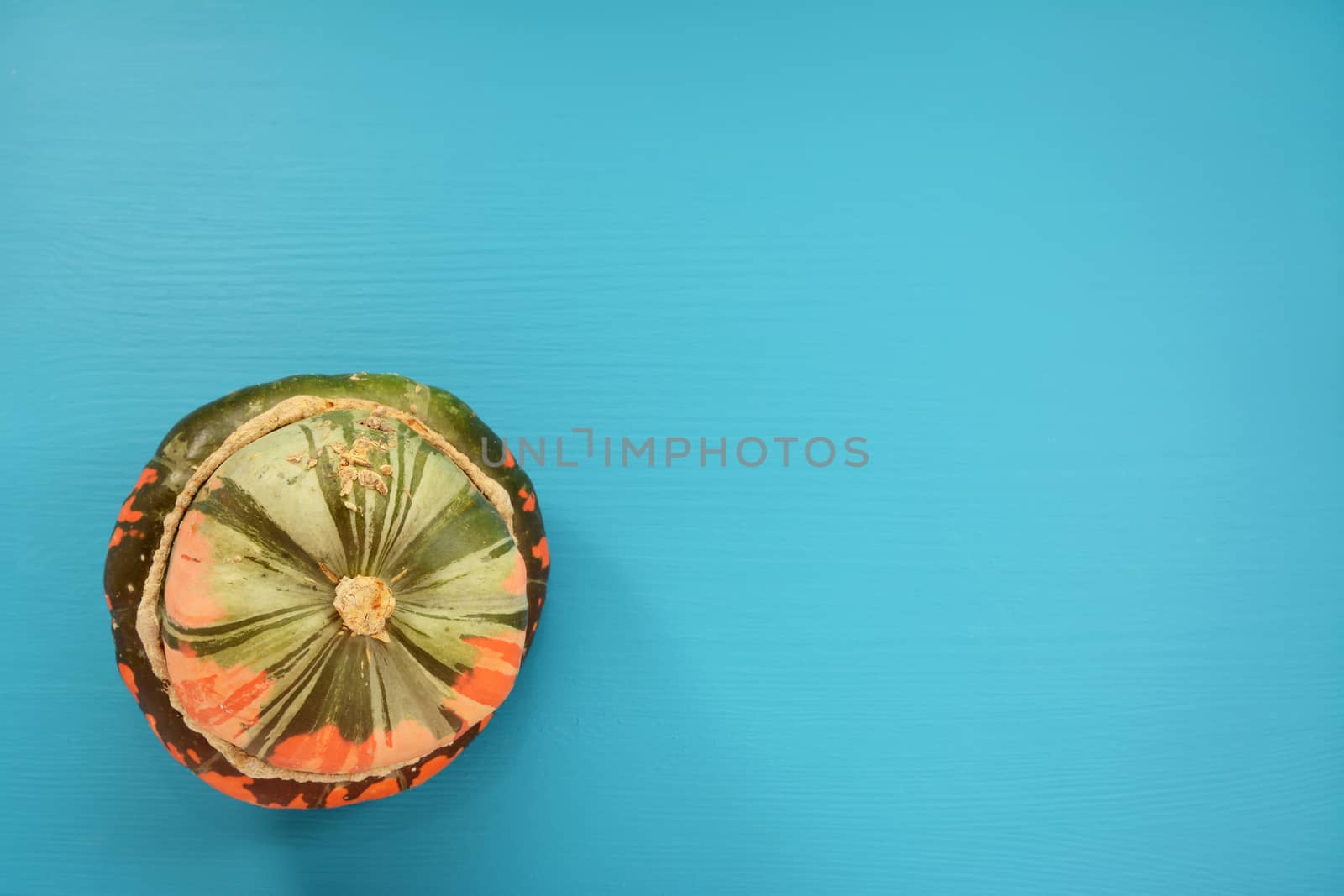 Single green and orange Turks turban squash with copy space on a teal painted wooden background