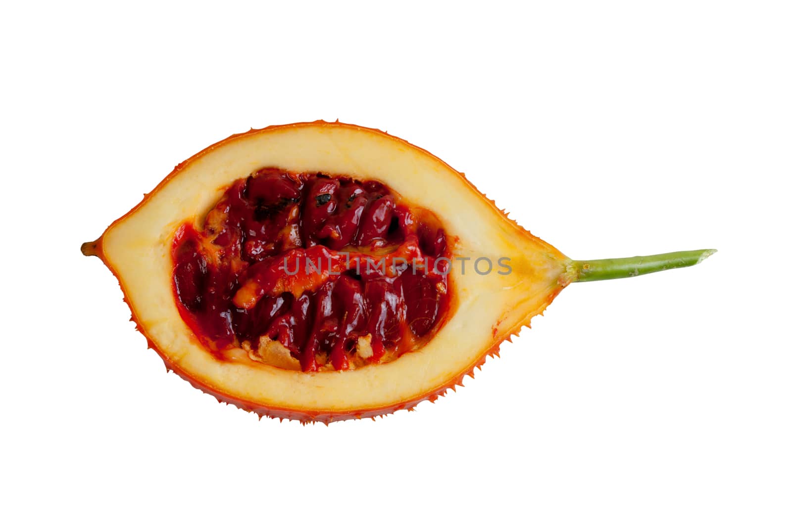 Baby Jackfruit isolated sliced in half (Or Cochinchin Gourd, Spiny Bitter Gourd, Sweet Gourd, Momordica cochinchinensis) on white objects with clipping paths