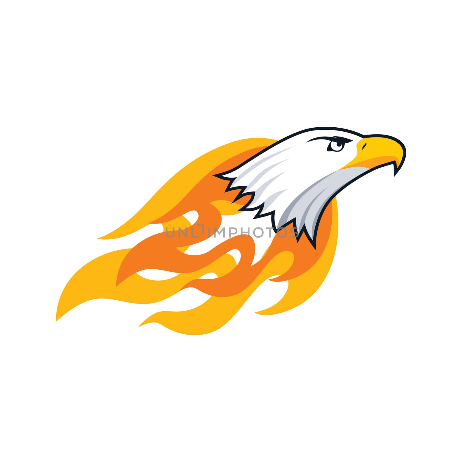 bold firey eagle bird template theme vector art illustration