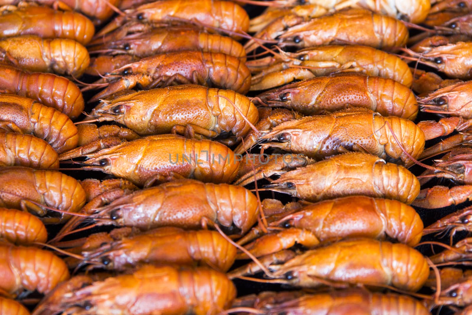 Photo of background with red boiled crawfishes