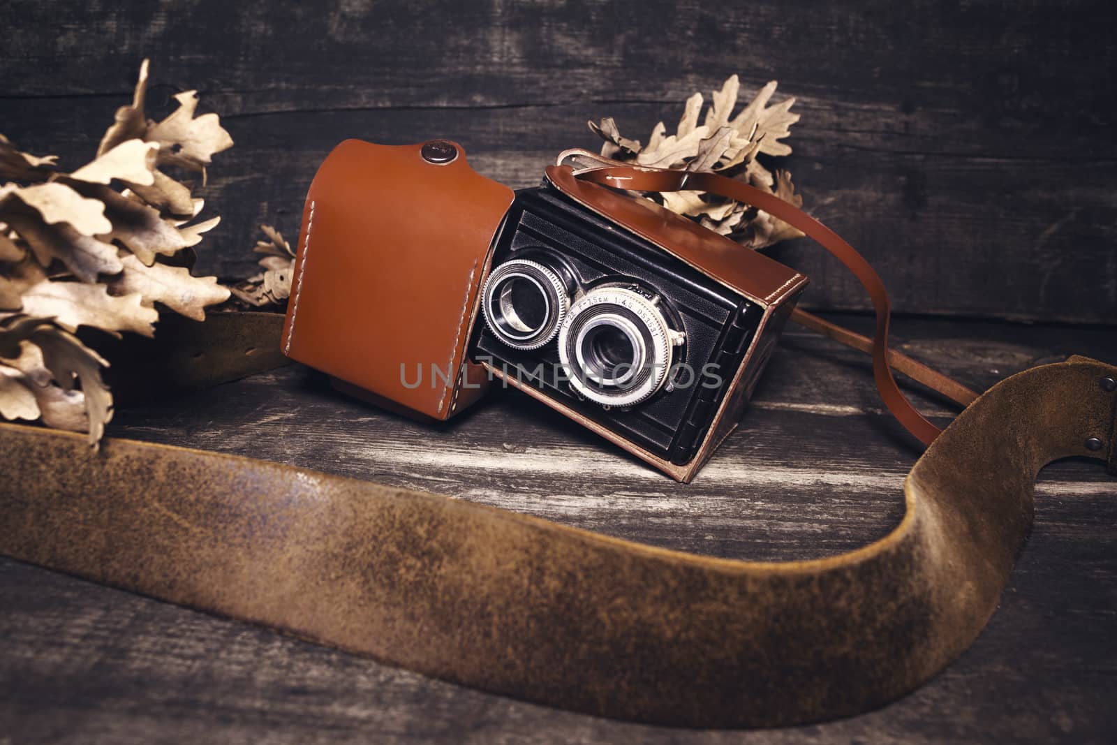 Vintage photo camera by alexandarilich