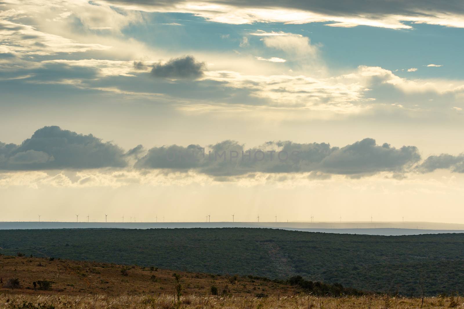 Wind blowing the clouds in the field with a wind farm in the background.