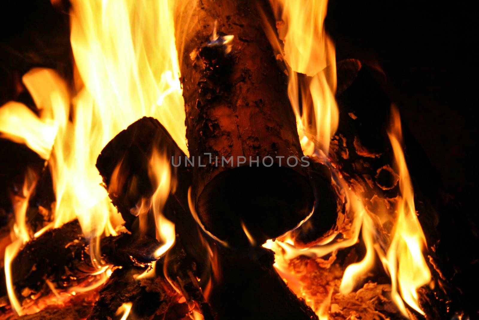 Closeup view of burning camp bonfire in the night