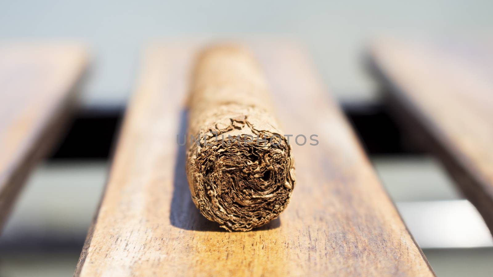 Cuban cigar resting on a wooden surface by alexandarilich