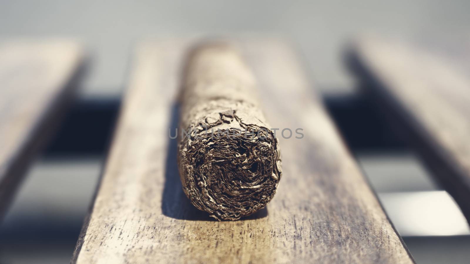 Cuban cigar resting on a wooden surface