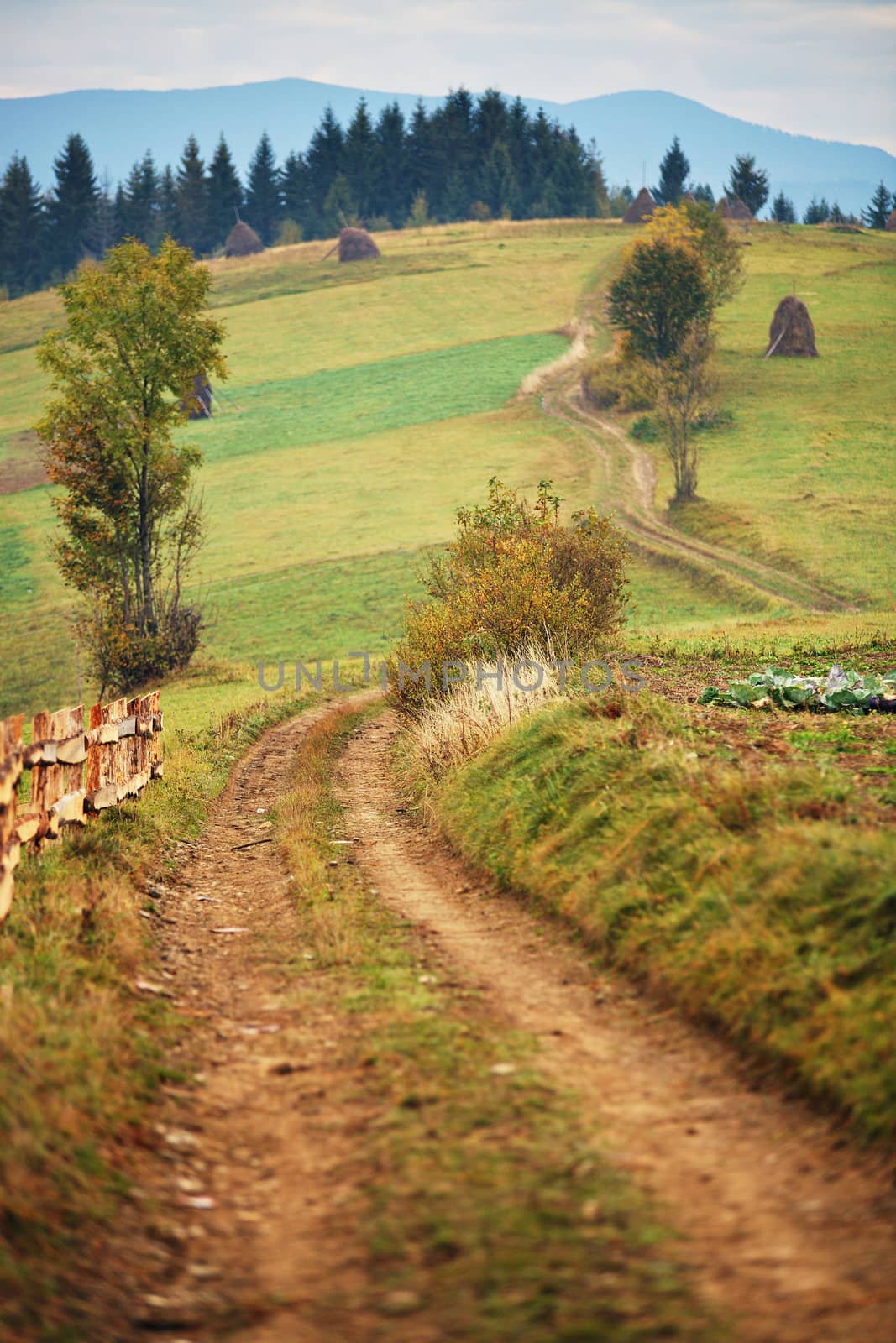 Autumn garden in Carpathian mountains. Fall on the hills 