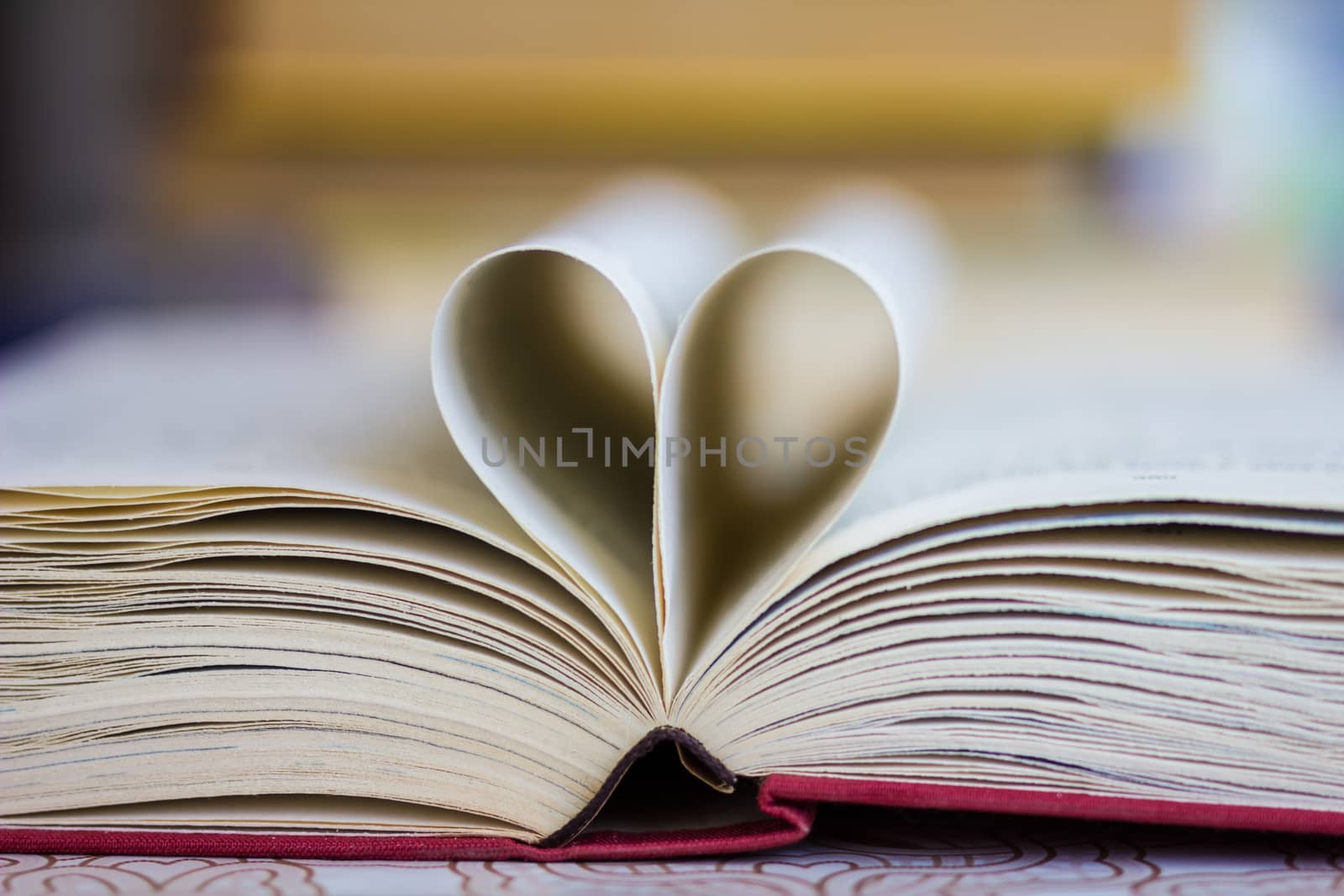 Opened book with heart shaped pages by maggee