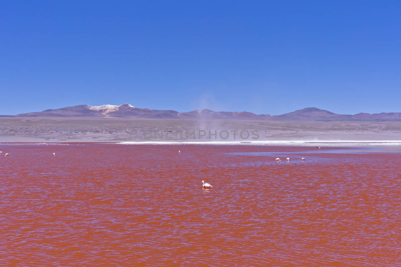 Red Lake, Bolivia, South America