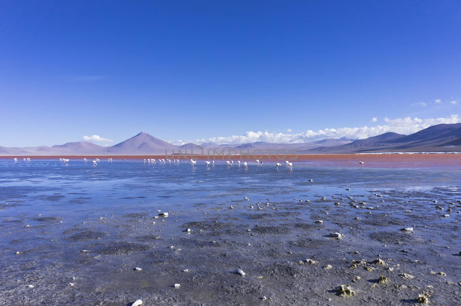 Red Lake, Bolivia, South America