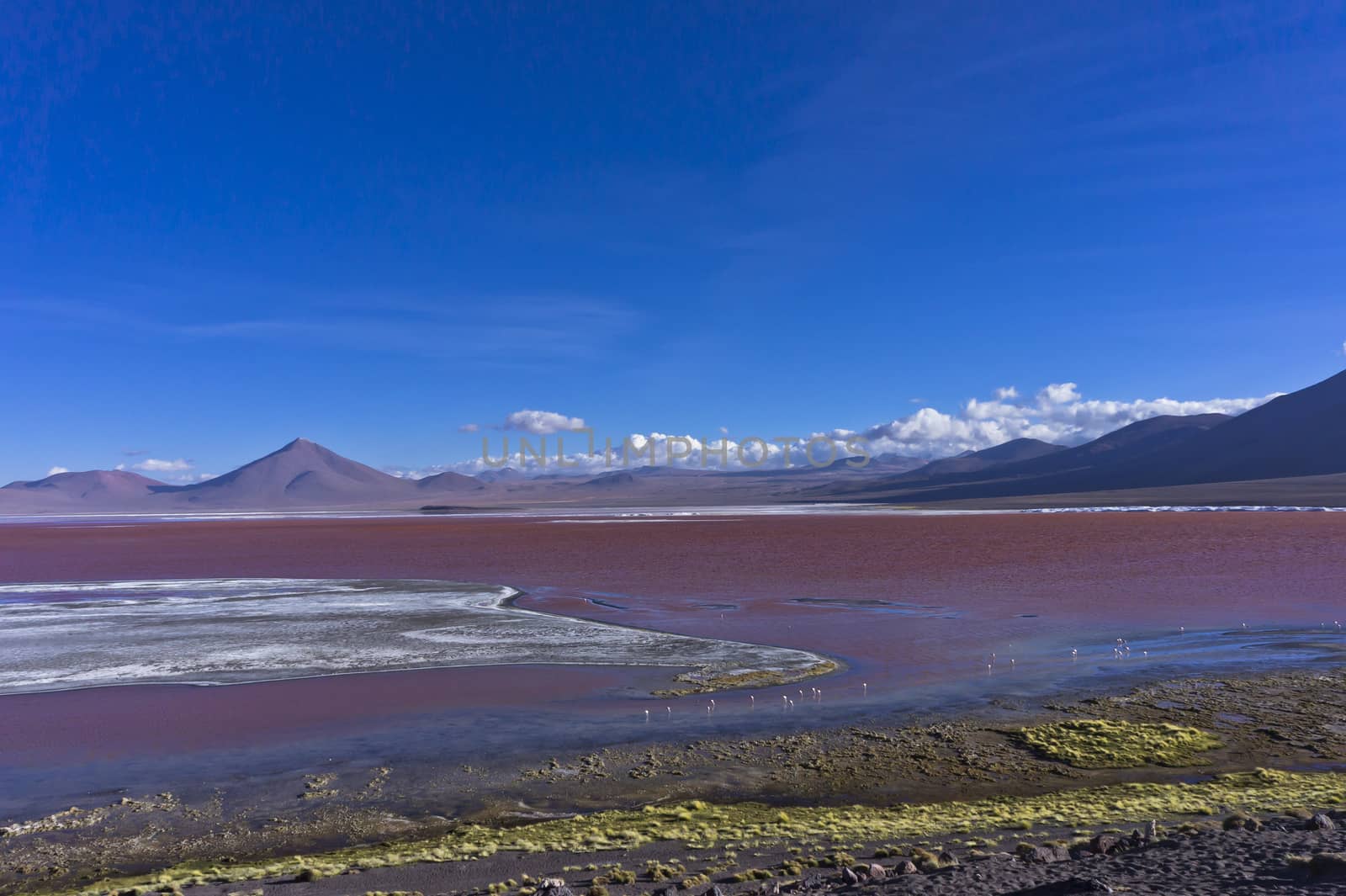 Red Lake, Bolivia, South America by giannakisphoto