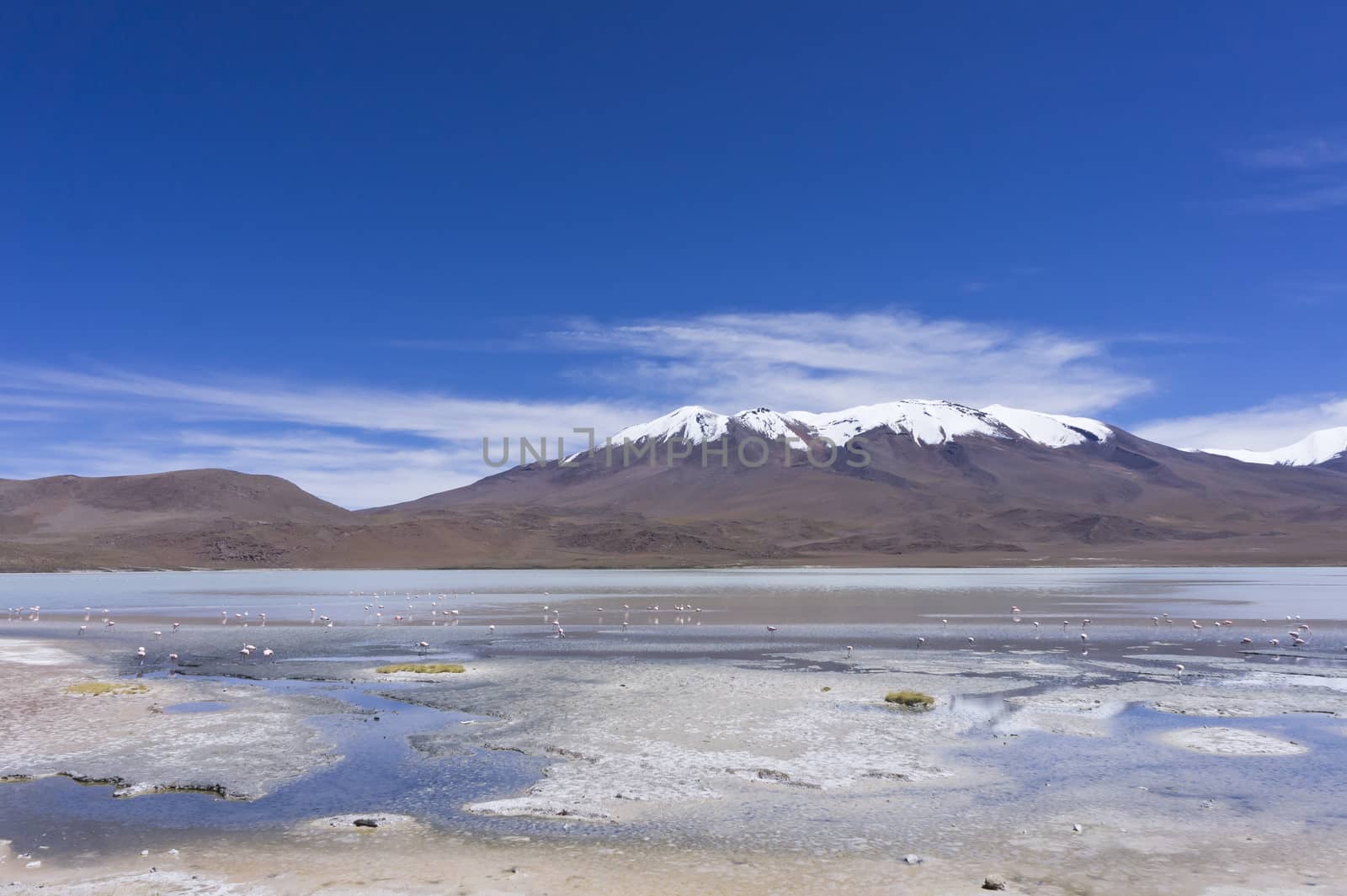 Laguna Pasto Grande, Bolivia, South America by giannakisphoto