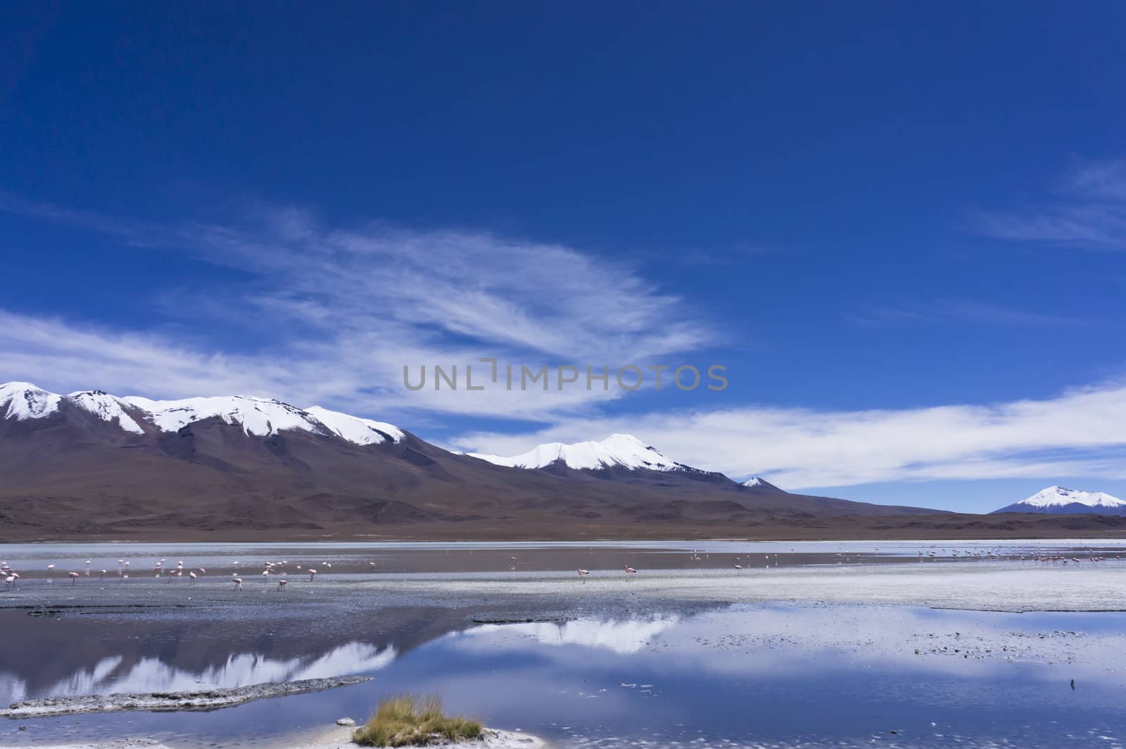 Laguna Pasto Grande, Bolivia, South America by giannakisphoto