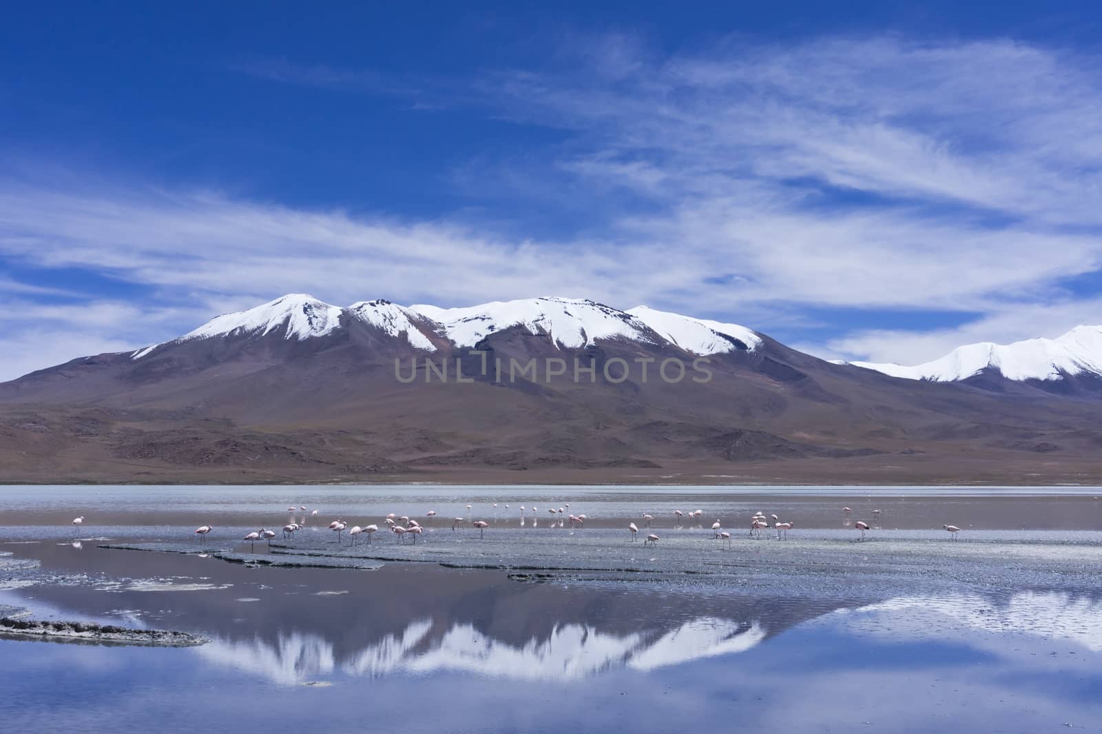 Laguna Pasto Grande, Bolivia, South America