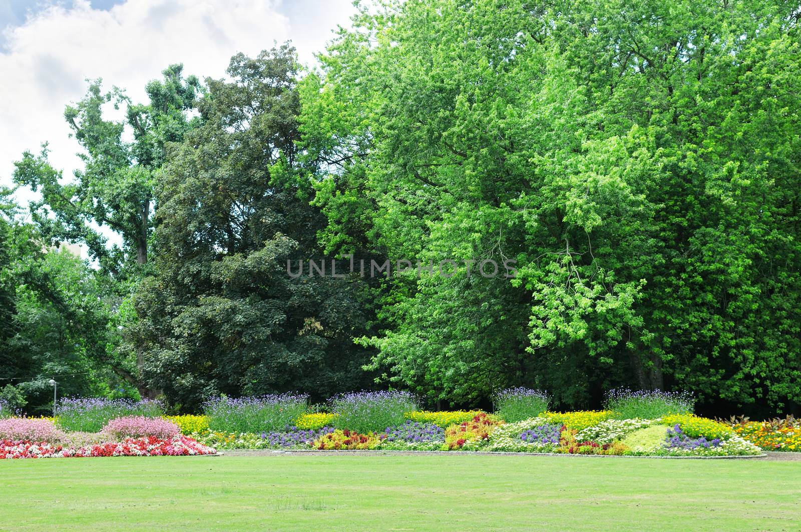 Blossoming flowerbeds in the park