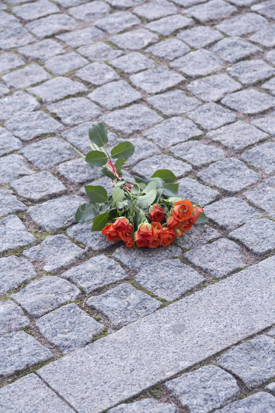 A bouquet of bright coral Roses on stone pavement in the city