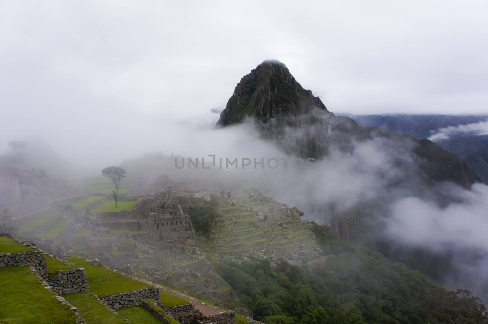 Machu Picchu, Peru, South America by giannakisphoto