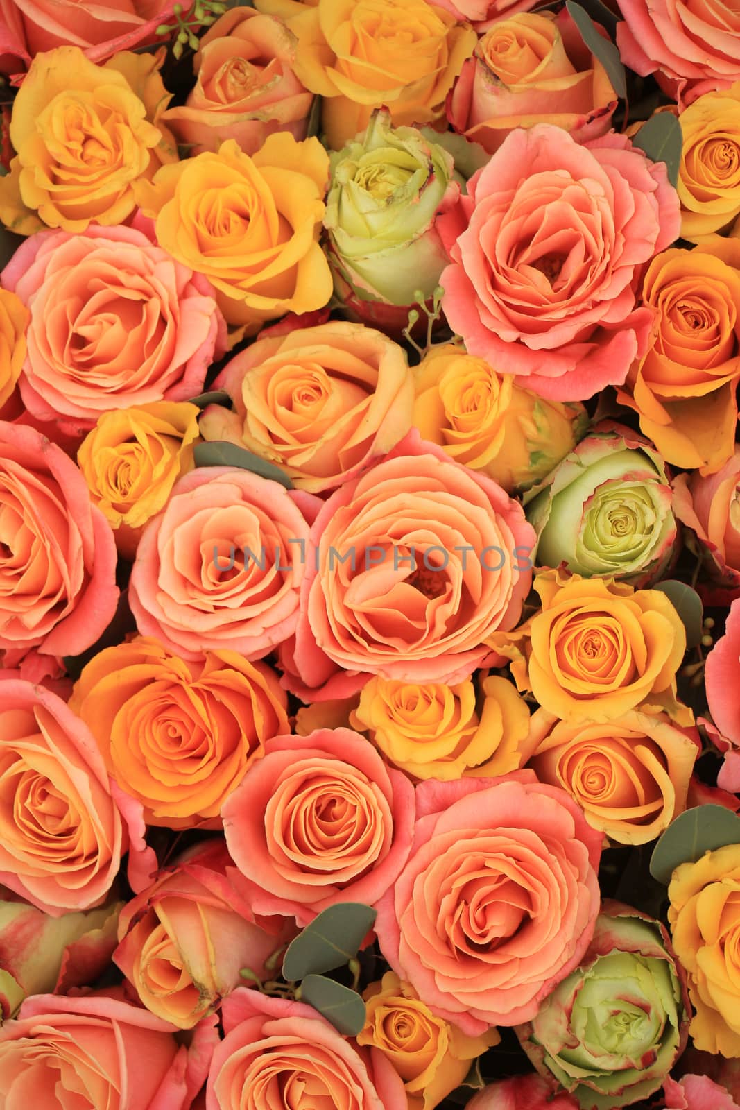 Yellow, orange and pink roses in a floral arrangement at a wedding