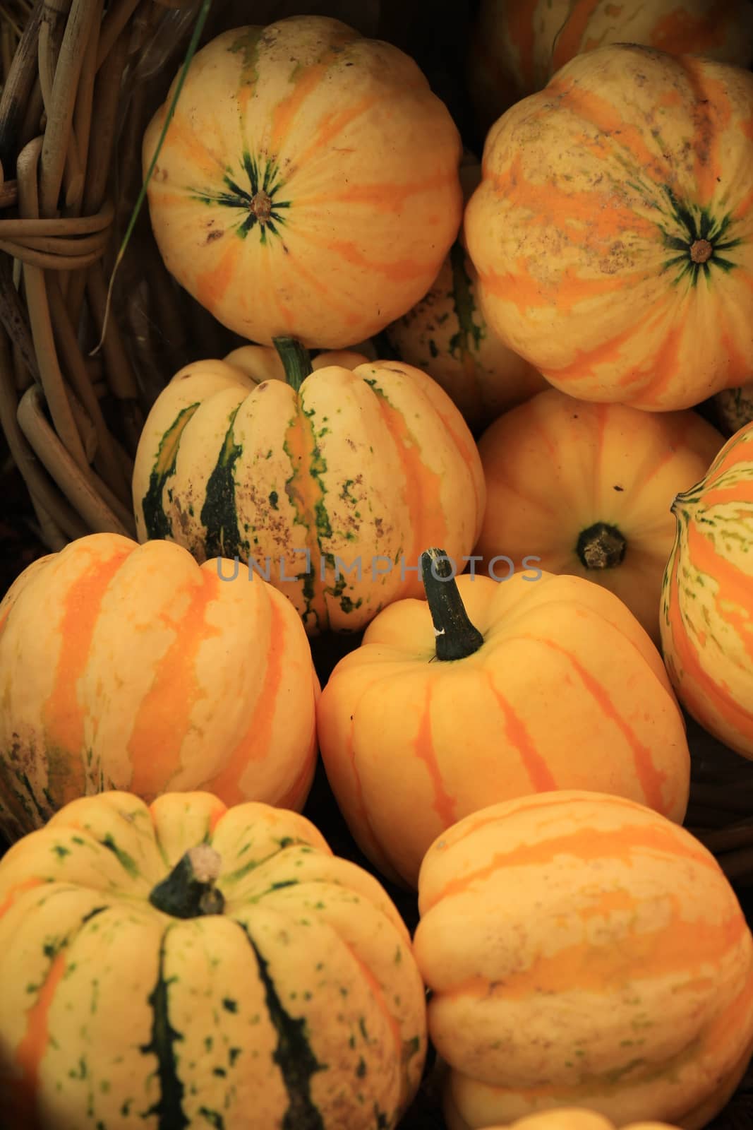 Decorative pumpkins by studioportosabbia