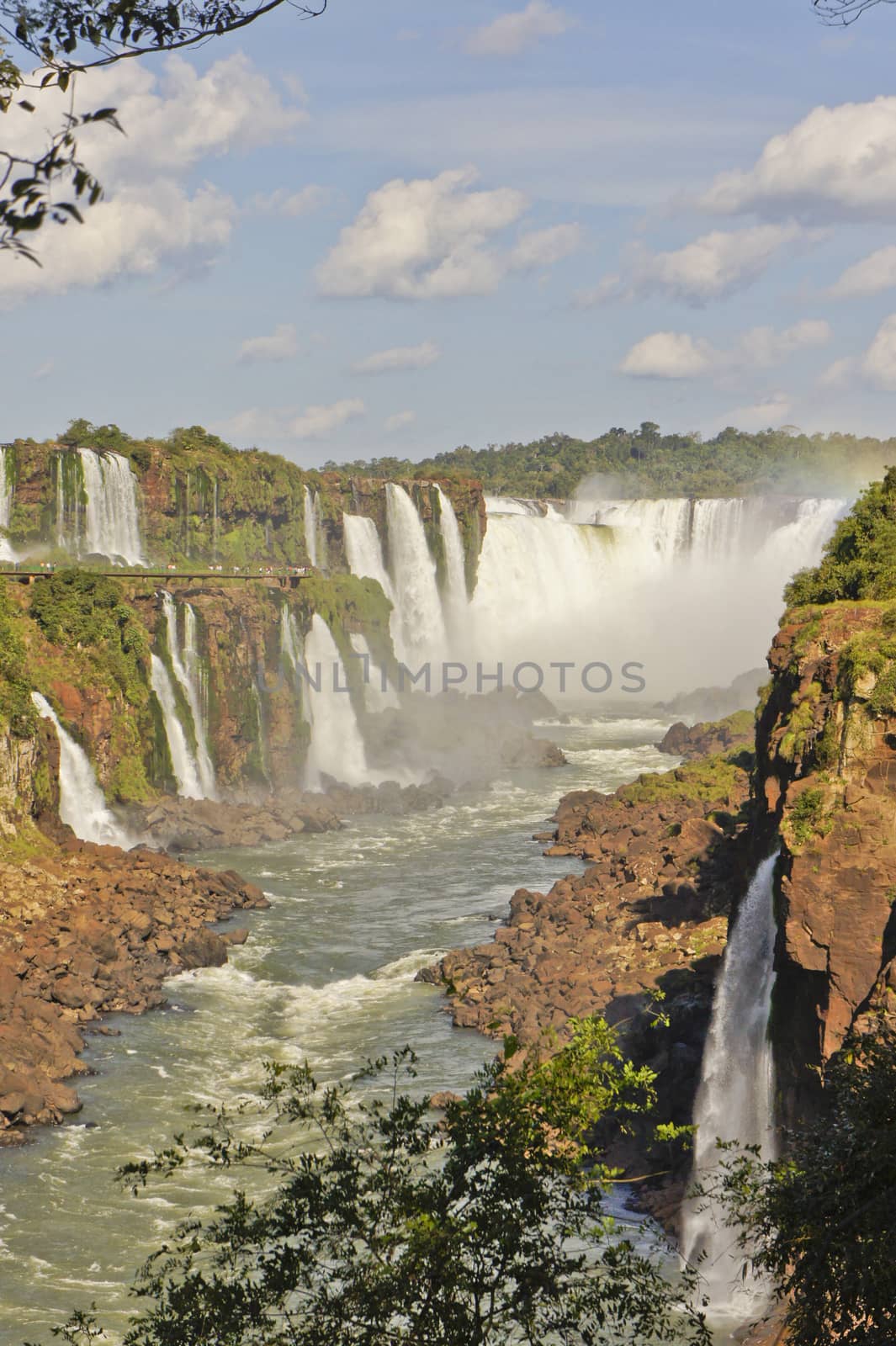 Iguazu Falls Brazil, South America by giannakisphoto