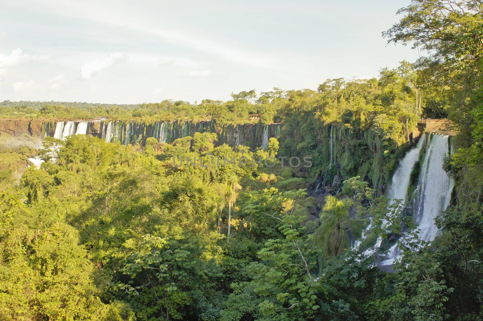 Iguazu Falls Brazil, South America by giannakisphoto