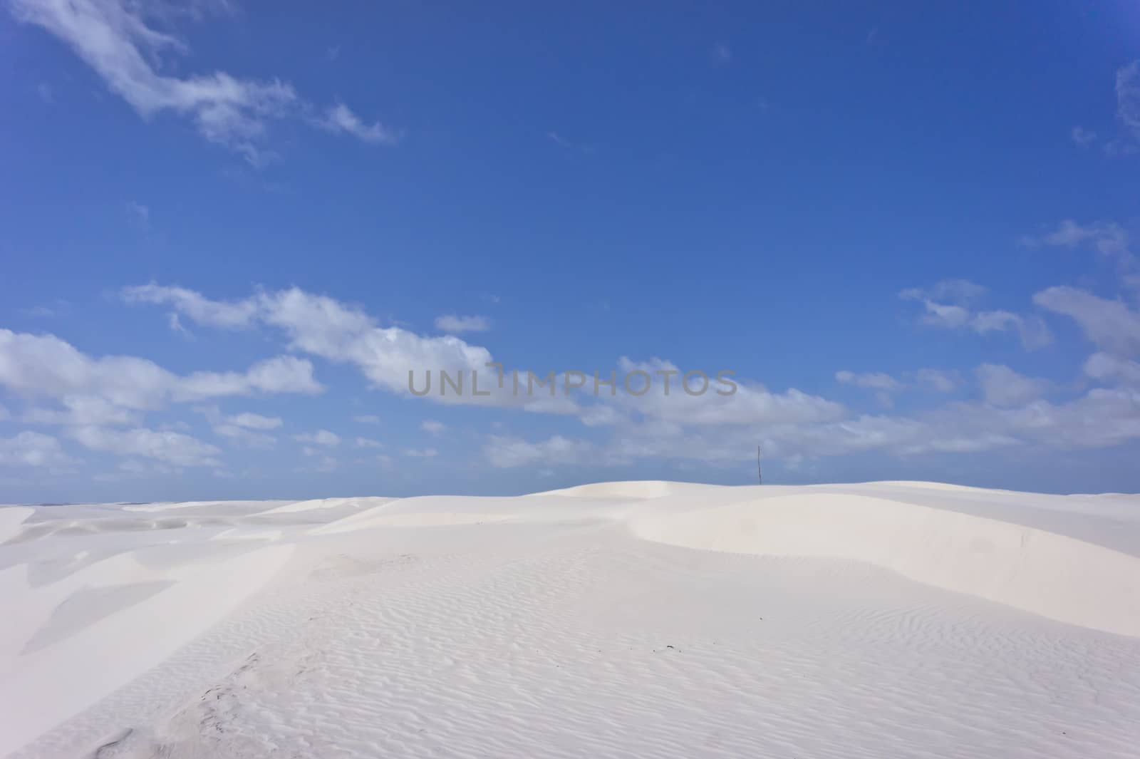 Barreirinhas, Brazil, South America by giannakisphoto