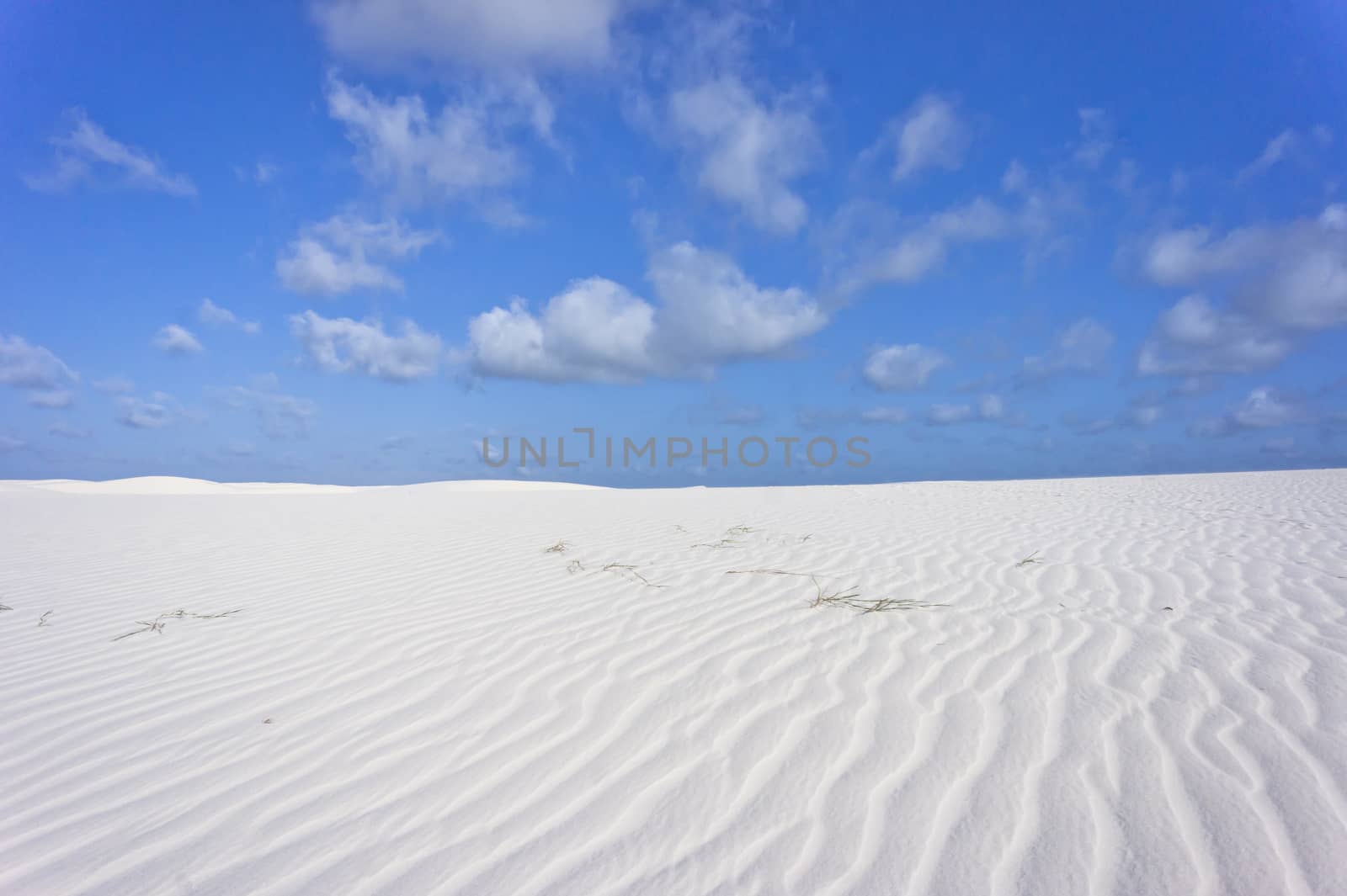 Barreirinhas, Brazil, South America by giannakisphoto