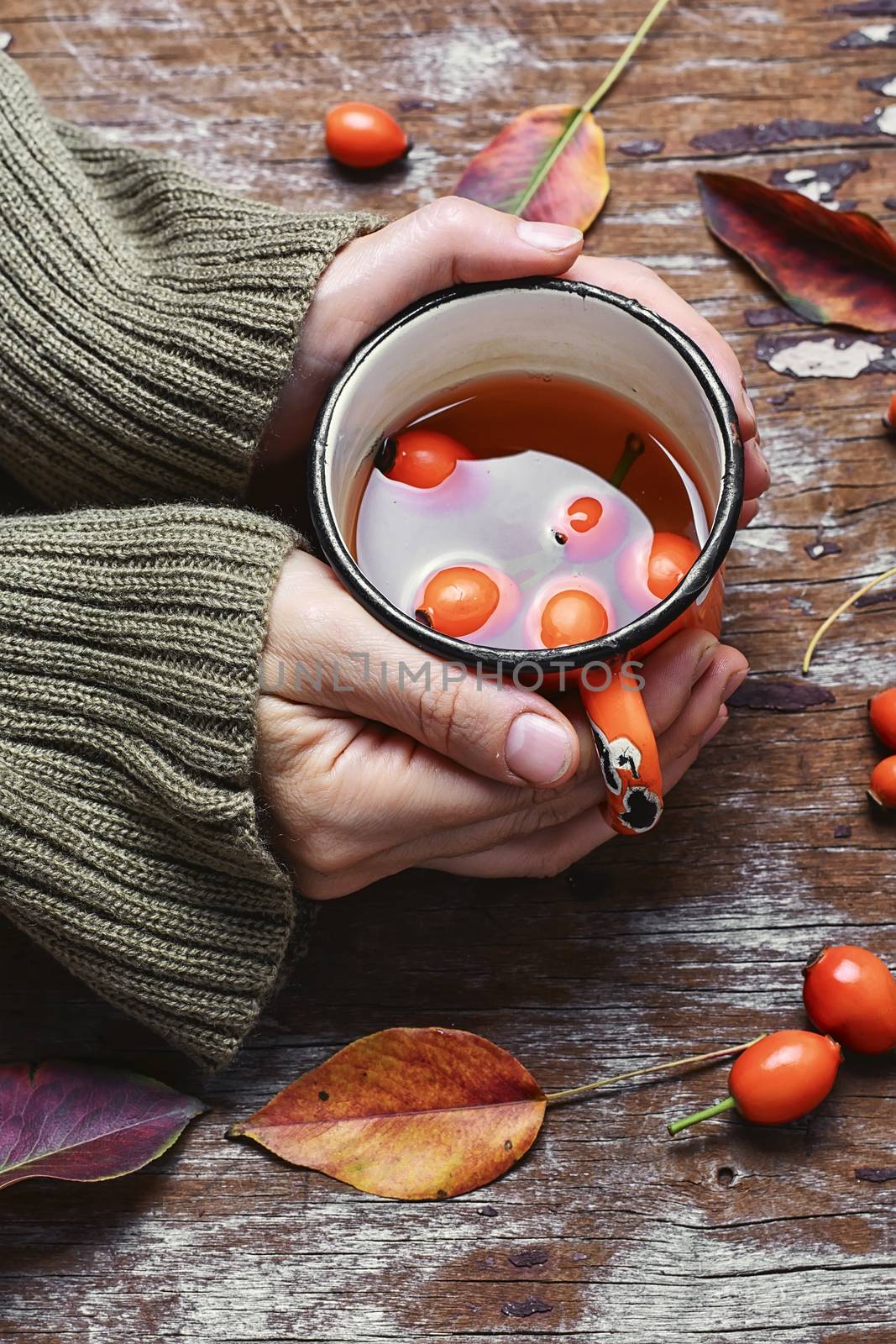 Cup of healing tea with autumn hips in his hands