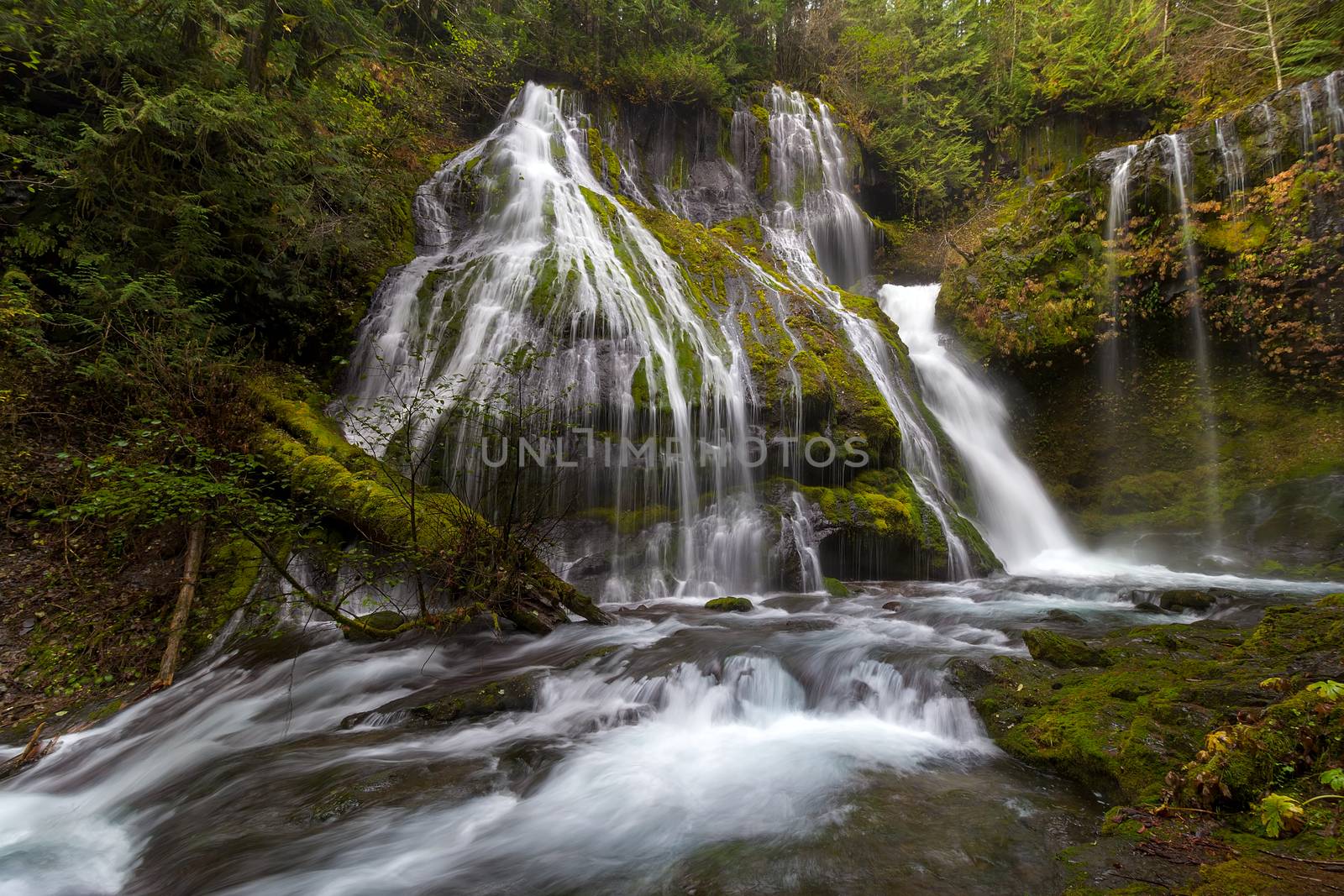 Panther Creek Falls in Gifford Pinchot National Forest Washington State
