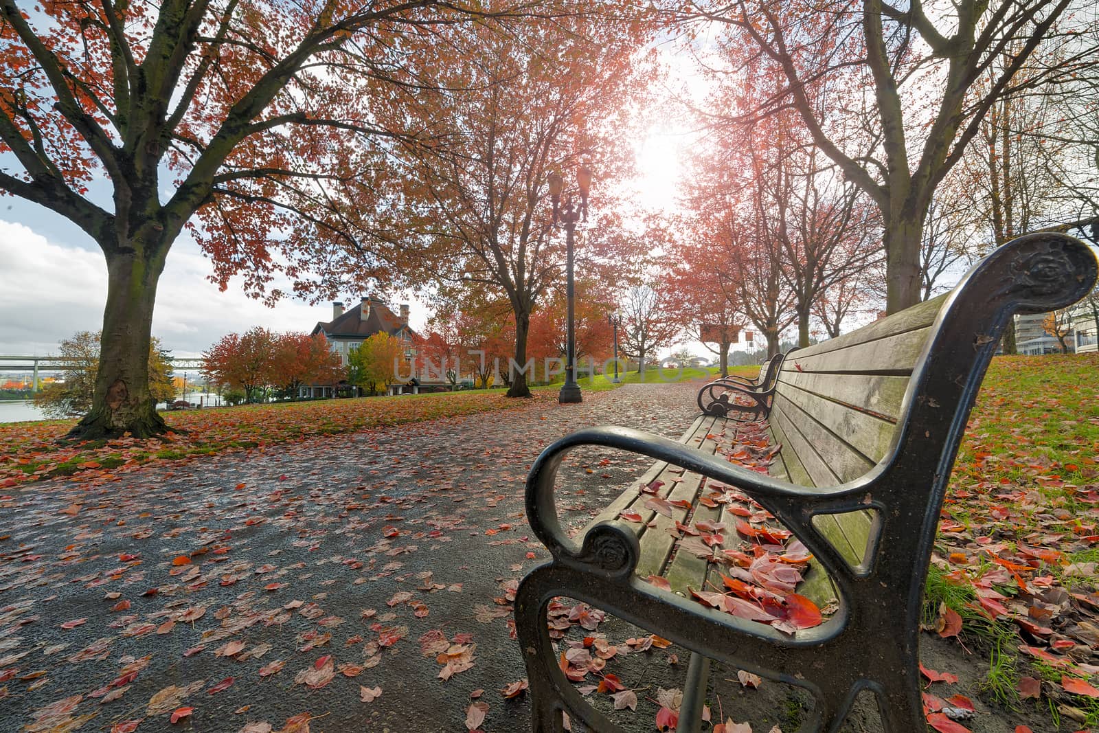 Park Benches in Waterfront Park in downtown Portland Oregon during fall season