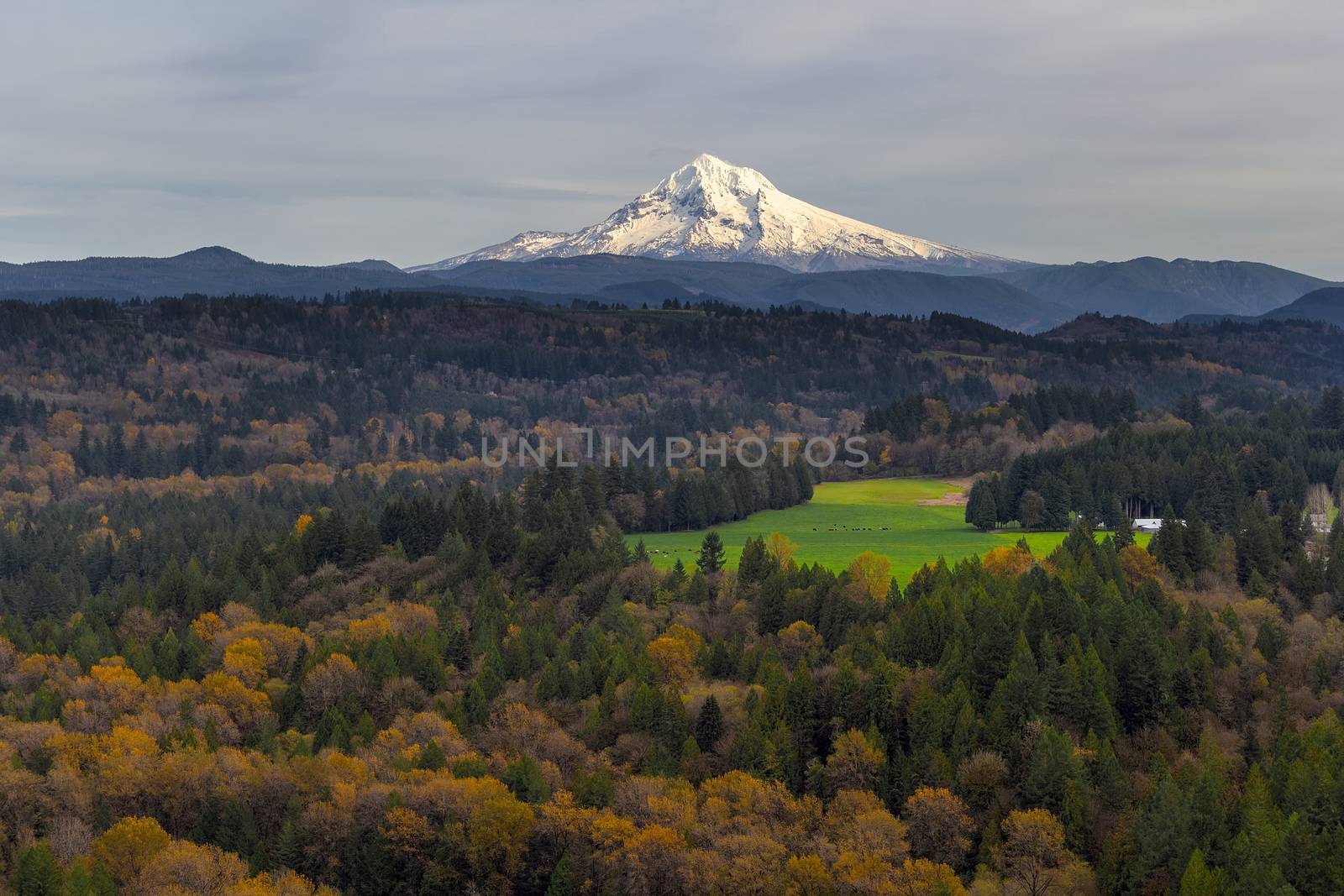 Mount Hood over Barlow Trail Route by jpldesigns